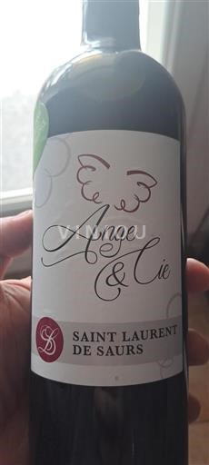 Sud-Ovest Gaillac Domaine Saint Laurent De Saurs Ange & Cie cantegal 2021