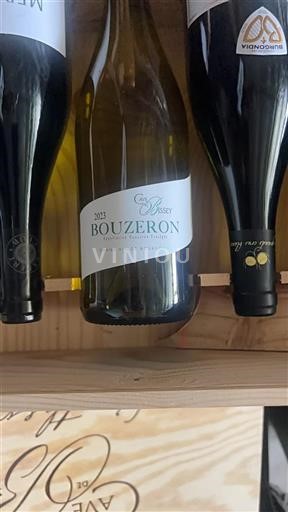 Borgogna Bouzeron Cave De Bissey 2023