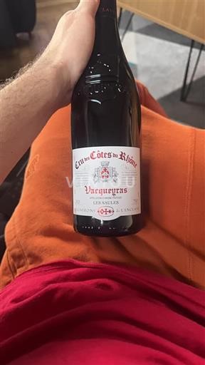 Valle del Rodano Vacqueyras Vignerons De L'enclave Les Saules 2023