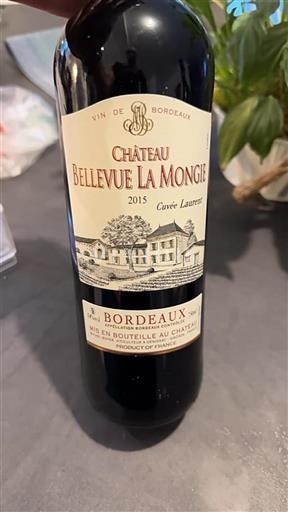 Bordeaux Château Bellevue La Mongie Laurent 2015