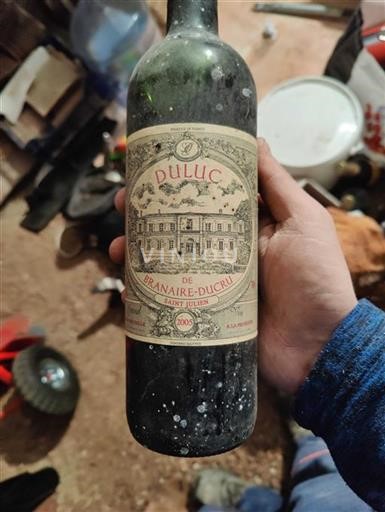 Bordeaux Saint-Julien Château Branaireducru Duluc 2005