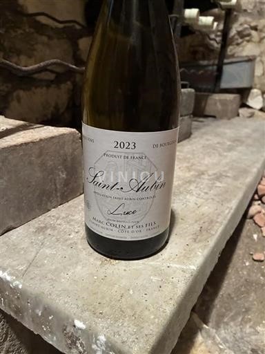 Bourgogne Saint-Aubin Premier Cru Marc Colin Et Ses Fils Luce 2023