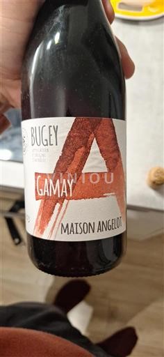 Savoja in Bugey Bugey Maison Angelot 2023