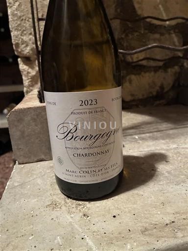 Bourgogne Bourgogne Chardonnay Marc Colin Et Ses Fils 2023