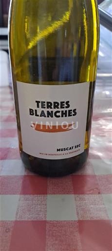Alsace Muscat Terres Blanches 2024