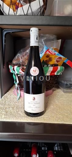 Loire Valley Anjou Domaine La Treille Thibault Henrion Non-Vintage