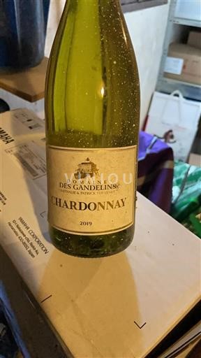 Bourgogne Ospecificerad Domaine Des Gandelins 2019