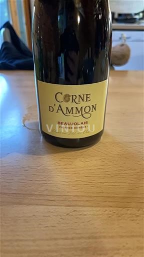 Beaujolais Corne Ammon Pierres Dorées 2020