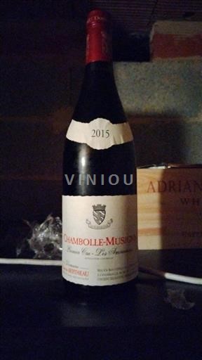 Bourgogne Ospecificerad Premier Cru Domaine Berteau Les Amoureuses 2015