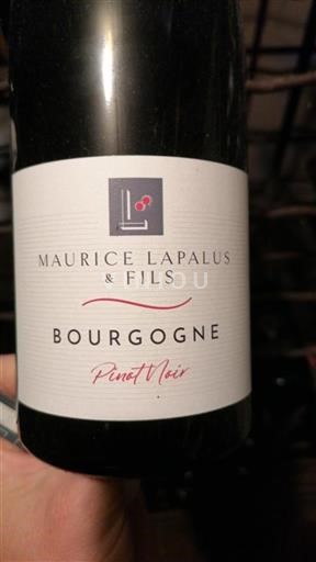 Bourgogne Maurice Lapalus & Fils Pinot Noir 2022