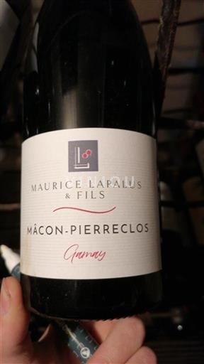 Burgundy Mâcon and Mâcon-Villages Maurice Lapalus & Fils Gamay 2022