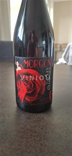 Beaujolais Morgon Les Charmes 2021