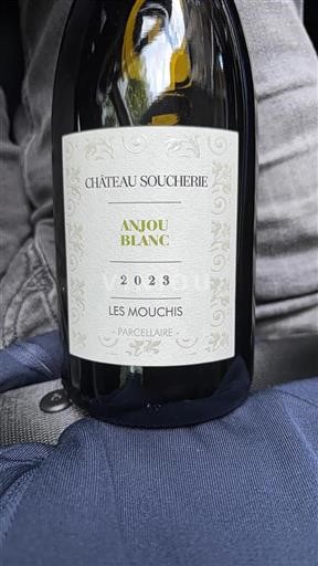 Loire-dalen Anjou Château Soucherie Les Mouchis 2023
