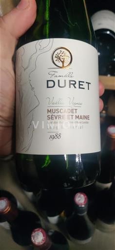 Vin Blanc sec Vieilles Vignes Famille Duret 1988 France Vallée de la Loire Muscadet-sèvre-et-maine AOC