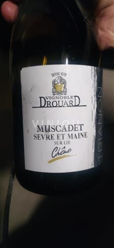Loiredalen Muscadet-Sèvre-et-Maine Vignoble Drouard Chêne Icke årgångsbetecknad