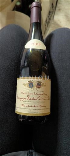 Burgundi Määrittelemätön Domaine Saint Saturnin De Vergy 2009