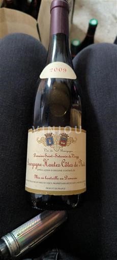 Bourgondië Hautes Côtes de Nuits Domaine Saint Saturnin De Vergy 2009