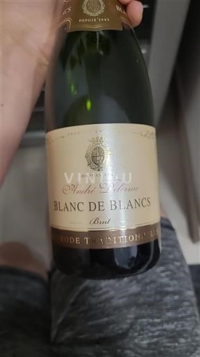 Bourgogne Ospecificerad André Delorme Blanc de Blancs Icke årgångsbetecknad