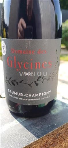 Vallée de la Loire Saumur-champigny Domaine Des Glycines 2023
