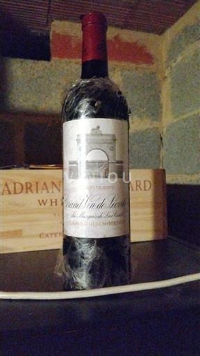 Bordeaux Saint-Julien Château Léoville Las Cases 2009