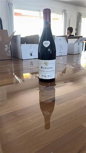 Bourgondië Bourgogne Château Philippe Le Hardi Pinot Noir - Vieilles Vignes 2022