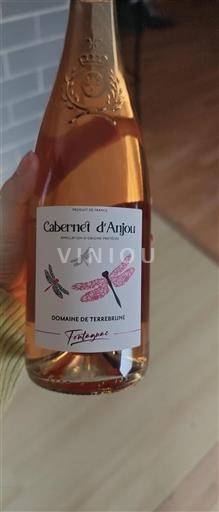 Vallée de la Loire Cabernet-d'anjou Domaine Terrebrune Fontagnac Non Millésimé