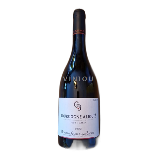 Bourgogne Bourgogne Aligoté Domaine Guillaume Baduel Les Aures 2022