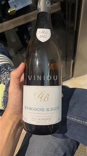 Bourgondië Bourgogne Aligoté P&L Borgeot 2022