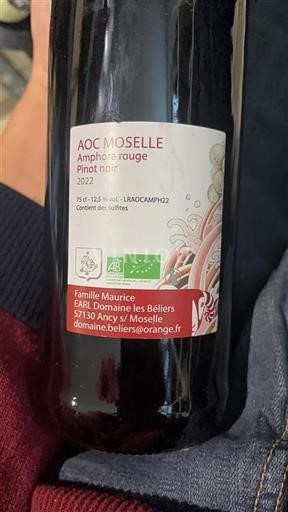 Lorraine Mosel Domaine Les Béliers Amphore rouge 2022