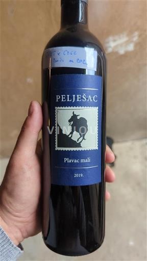 Dalmatië Pelješac Pelješac 2019