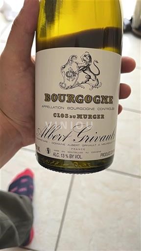 Borgogna Domaine Albert Grivault Clos du Murger 2019