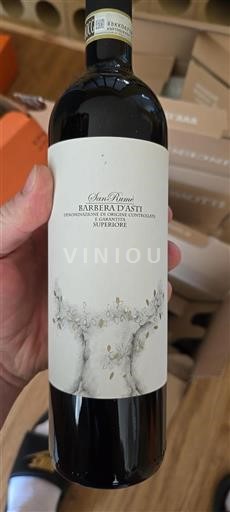 Piemonte Barbera d'Asti San Rumè 2022