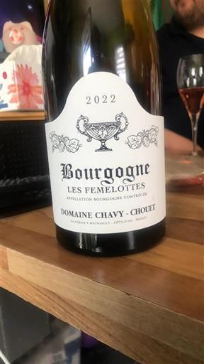 Borgogna Domaine Chavy-Chouet Les Femelottes 2022
