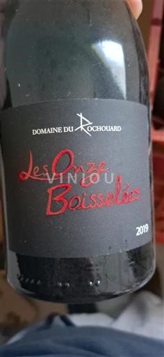 Loire-dalen Saint-Nicolas-De-Bourgueil Domaine Rochouard Les Onze Boisselées 2019