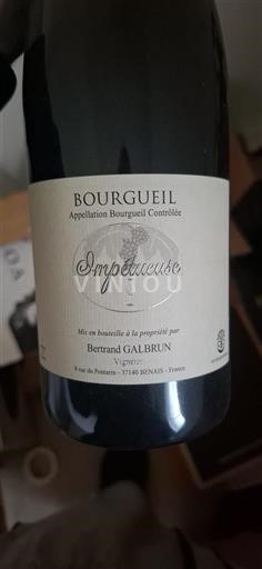 Vallée de la Loire Bourgueil Bertrand Galbrun Impétueuse Non Millésimé