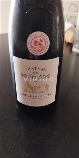 Valle della Loira Saumur-Champigny Domaine La Perrière 2020