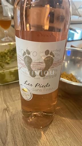 Vin Rosé sec Les Pieds dans l'eau Non millésimé France Languedoc et Roussillon Pays d'oc