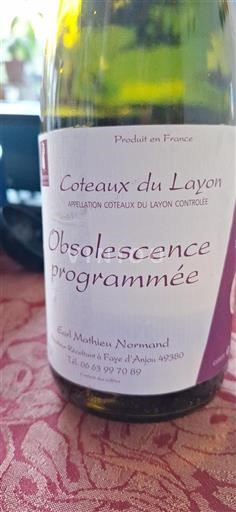 Loiren laakso Coteaux-du-Layon Earl Mathieu Normand Obsolescence programmée Ei vuosikertaa