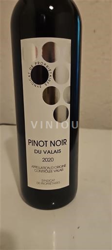 Valais Unspecified Syndicat de Propriétaires 2020