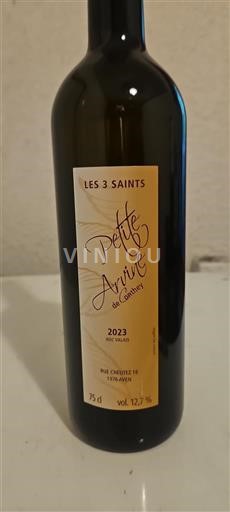 Valais Unspecified Les 3 Saints Petite Arvine de Cavnay 2023