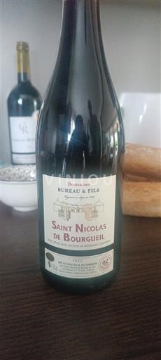 Vallée de la Loire Saint-Nicolas-De-Bourgueil Domaine Bureau & Fils 2022