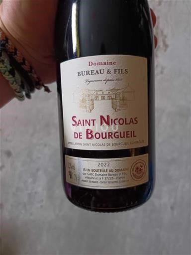Valle del Loira Saint-Nicolas-De-Bourgueil Domaine Bureau & Fils 2022