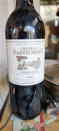 Bordeaux Château Saintongey 2005
