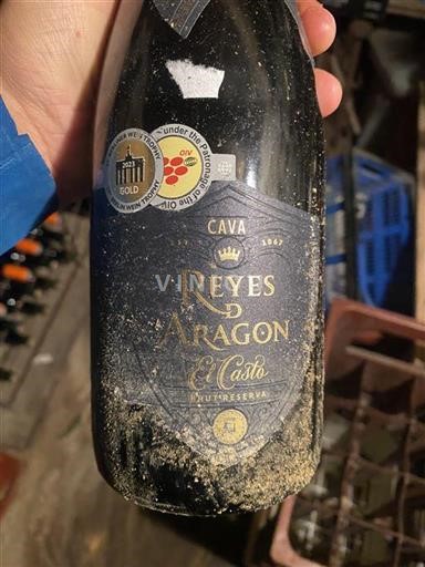 Vin Blanc brut El Casto Reyes Aragon 2023 Espagne Catalogne