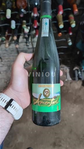 Baskerlandet Ikke specificeret Ametztoi 2020