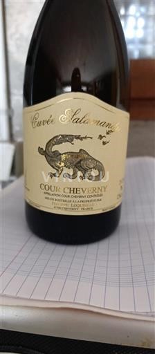 Údolí Loiry Cour-cheverny Philippe Loquineau Salamandra 2020