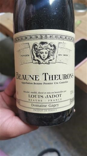 Vin Rouge sec Beaune Theurons Domaine Gagey 2012 France Bourgogne AOC Premier Cru