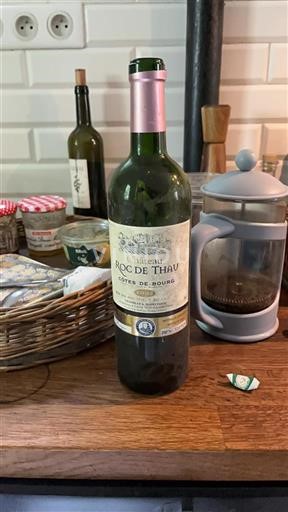 Bordeaux Côtes-de-bourg Château Roc de Thau 2002