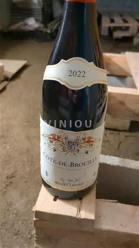 Beaujolais Côte-de-brouilly Les Petits Fils de Benoît Lafont 2022