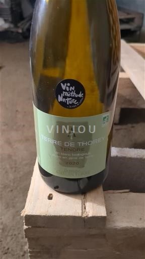 Burgundsko Nespecifikováno Domaine Aurélien Febvre Terre de Thorey Tendre 2020